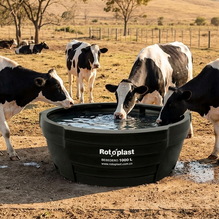 Bebederos limpios, ganado más productivo 3 Tips Para tu Ganado