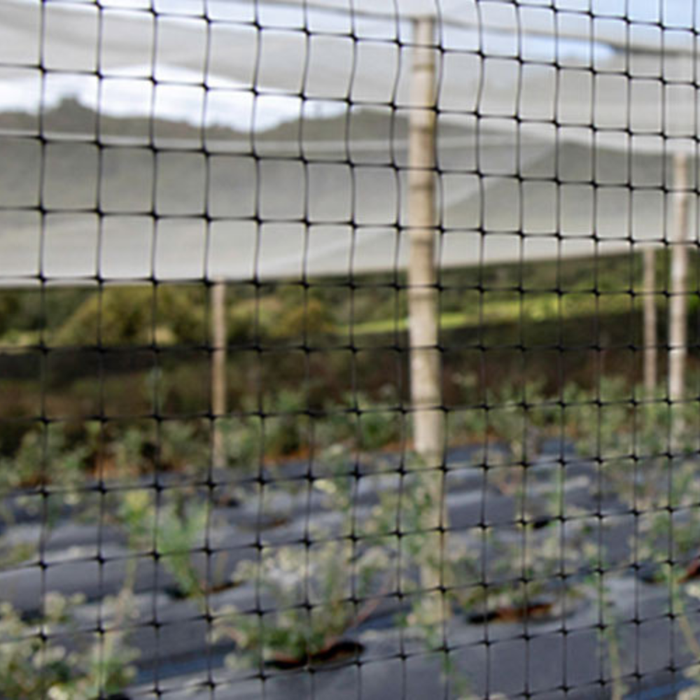 Malla Anti pajaro 16Mmx19mm 2.00X150mts N