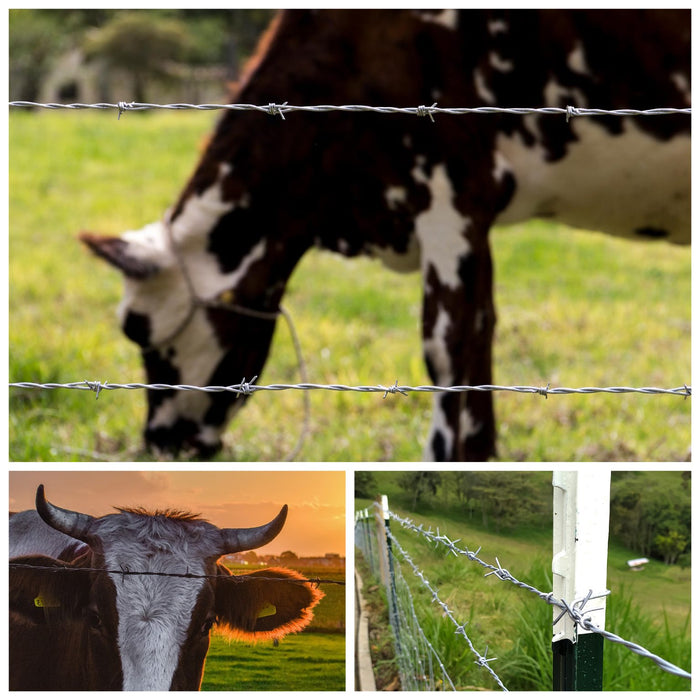 Alambre De Puas Tragaleguas 14.5X500Mts