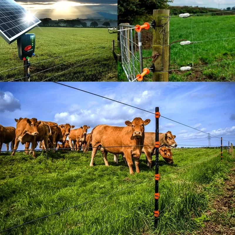 Día a día de un cacaotero