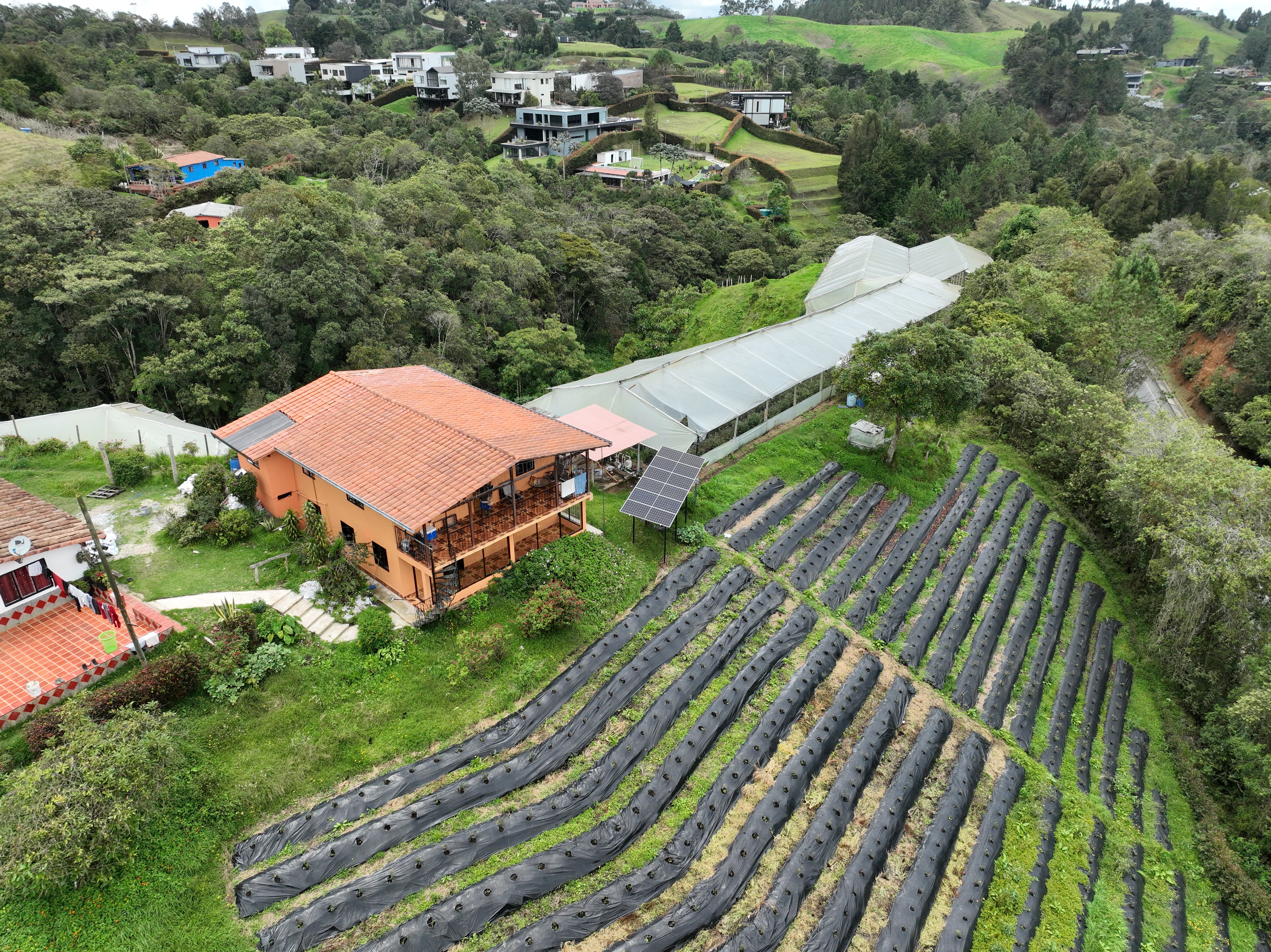 Panel Solar Longi 225W Monofacial | Alta Eficiencia para Sistemas Fotovoltaicos
