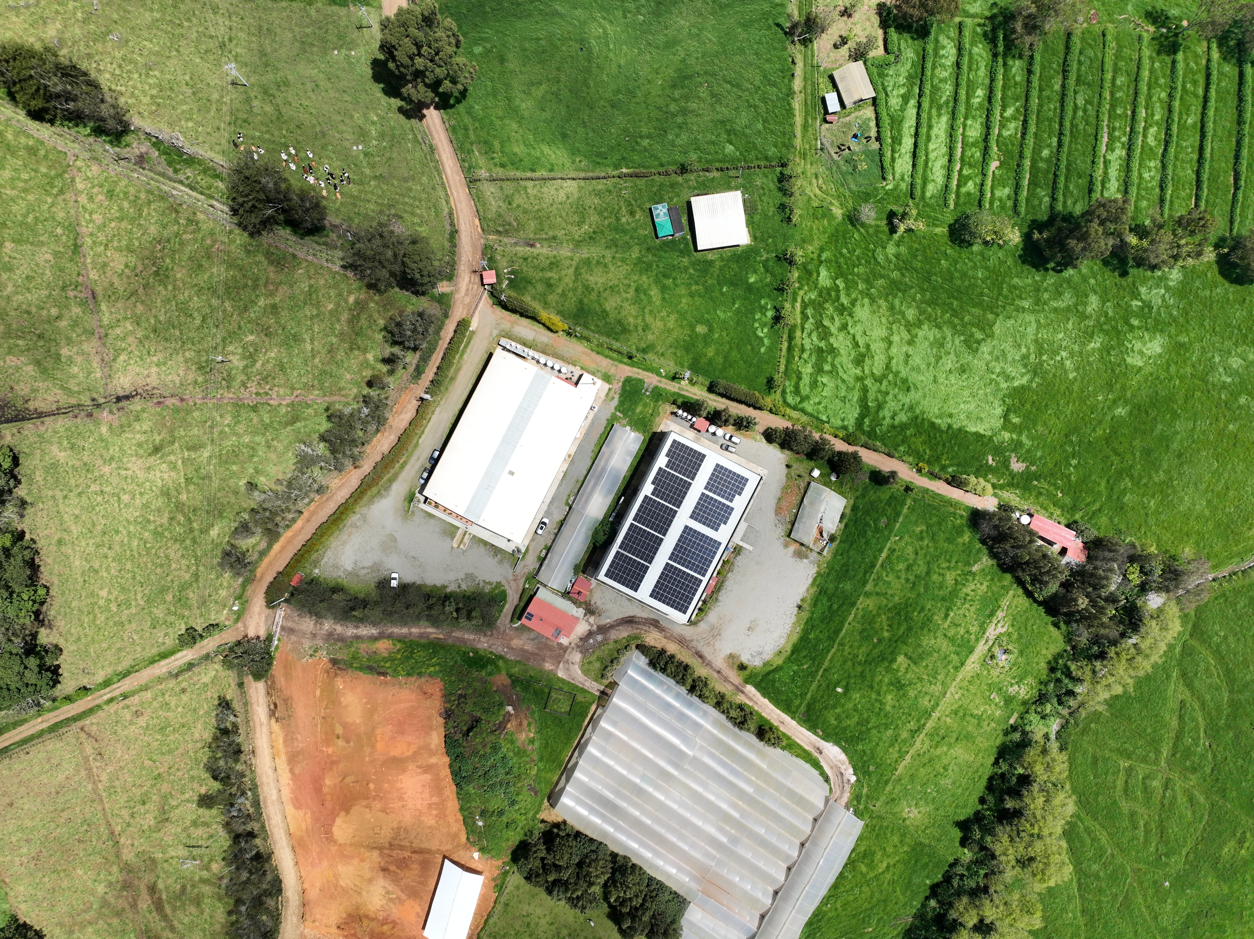 Panel Solar Longi 225W Monofacial | Alta Eficiencia para Sistemas Fotovoltaicos