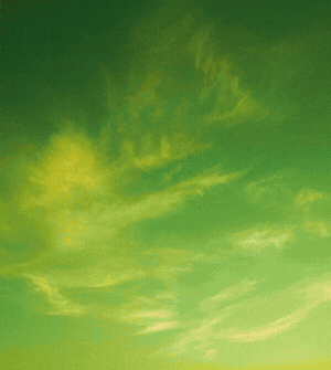 Sistemas de Riego y accesorios