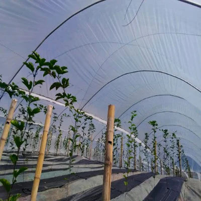 Día a día de un cultivo